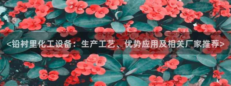 美狮会