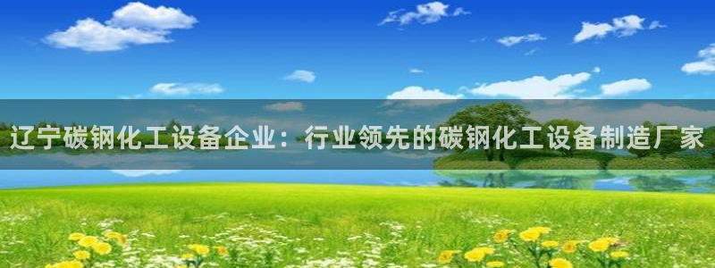 美国美狮集团