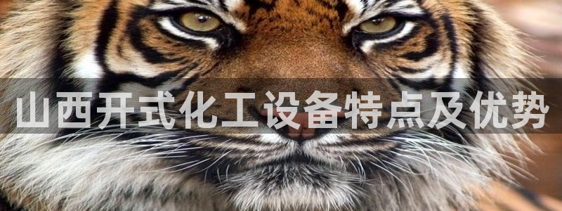 美狮会平台是干什么的