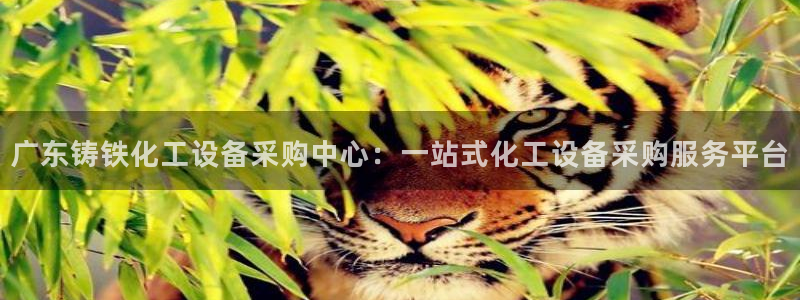美狮 百度百科