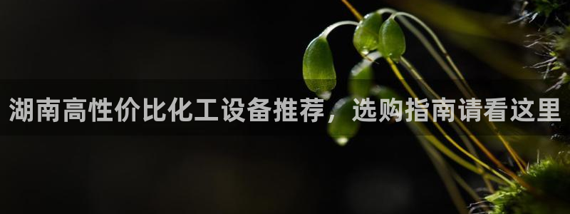 美国美狮集团