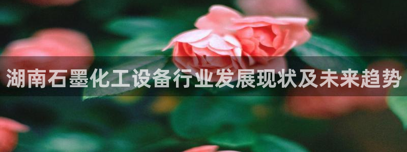 美狮贵宾会输了100万