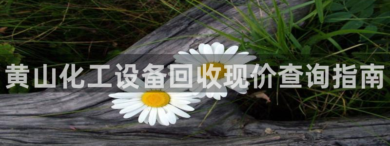 美狮会员充值中心电话