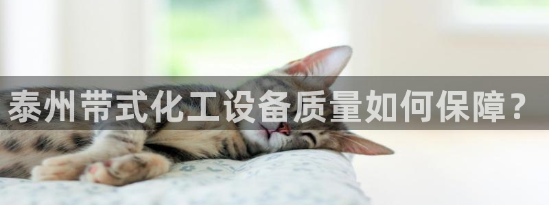 美狮会员卡等级划分