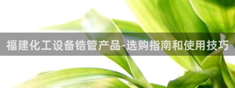 美狮传媒集团有限公司怎么样