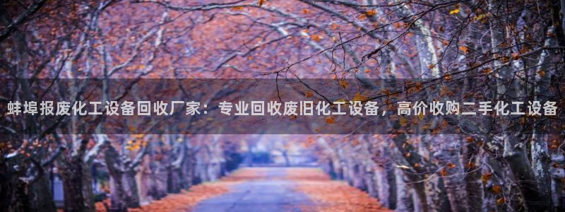 092美狮贵宾会怎么下载