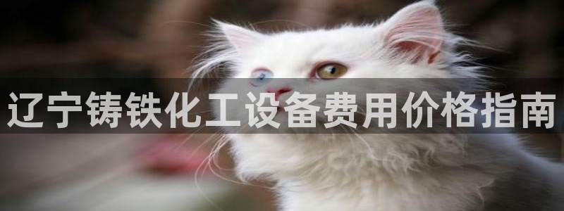 美狮贵宾登录中心ms092021