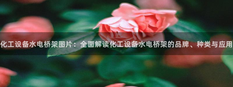 美狮官版2023最新版本下载