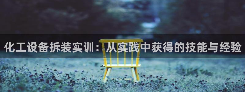 美国美狮集团