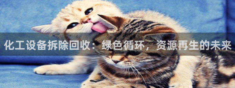 美狮会员卡