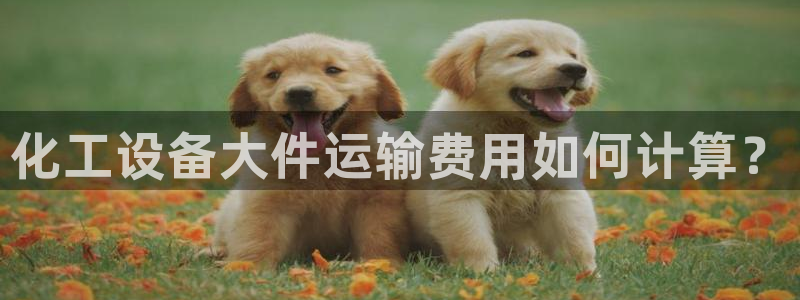 美狮会员卡等级怎么划分出来