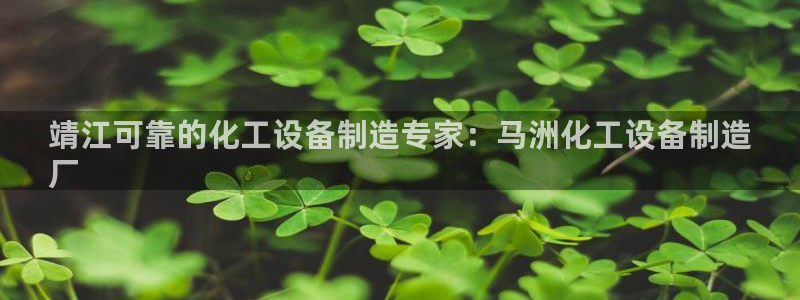 美狮国际控股集团