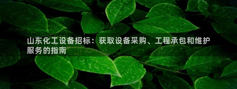 美狮贵宾会充值