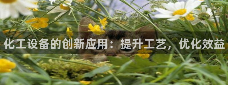 美狮充值中心电话