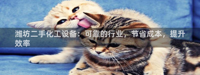 美狮贵宾会不给出款