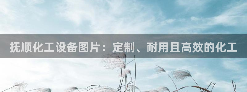 美狮贵宾会网址是什么