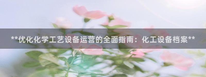 美狮国际控股集团
