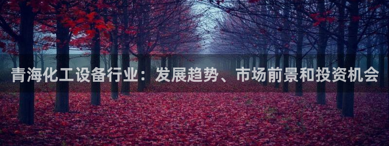 美狮服装