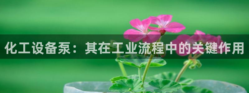 092美狮贵宾会旧版本