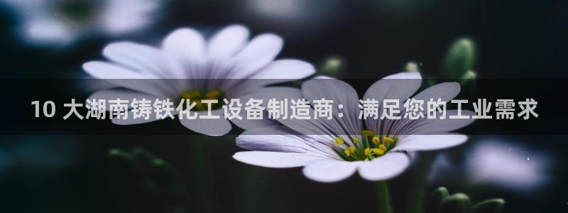 美狮会员卡等级划分表