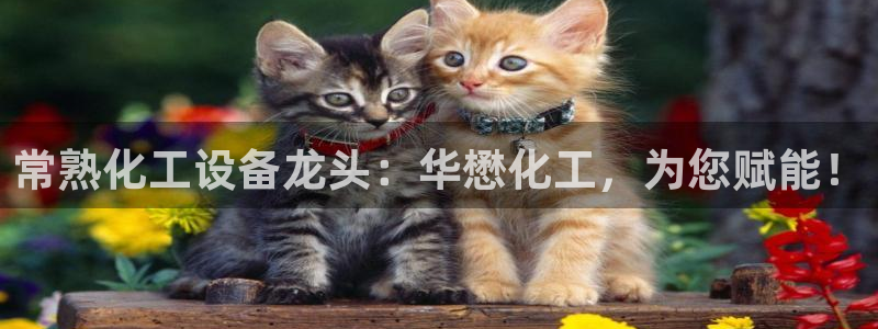 美狮外汇合法吗