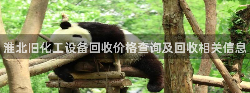 美狮会是什么平台