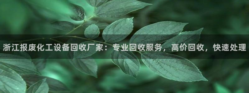 美狮贵宾会官网网址