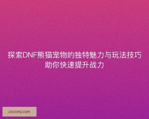 探索DNF熊猫宠物的独特魅力与玩法技巧助你快速提升战力