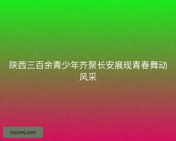 陕西三百余青少年齐聚长安展现青春舞动风采