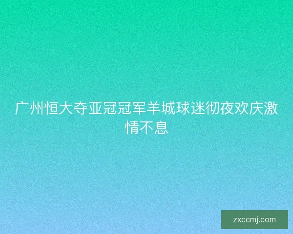 广州恒大夺亚冠冠军羊城球迷彻夜欢庆激情不息